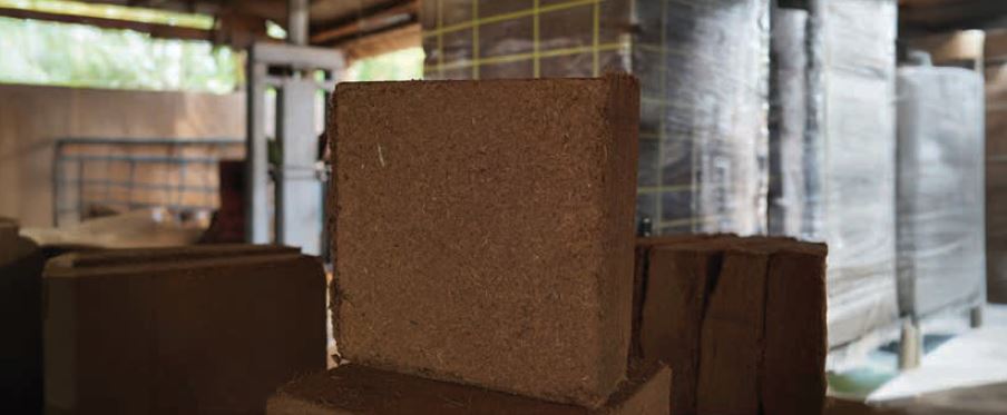 Kokosblöcke und Briketts